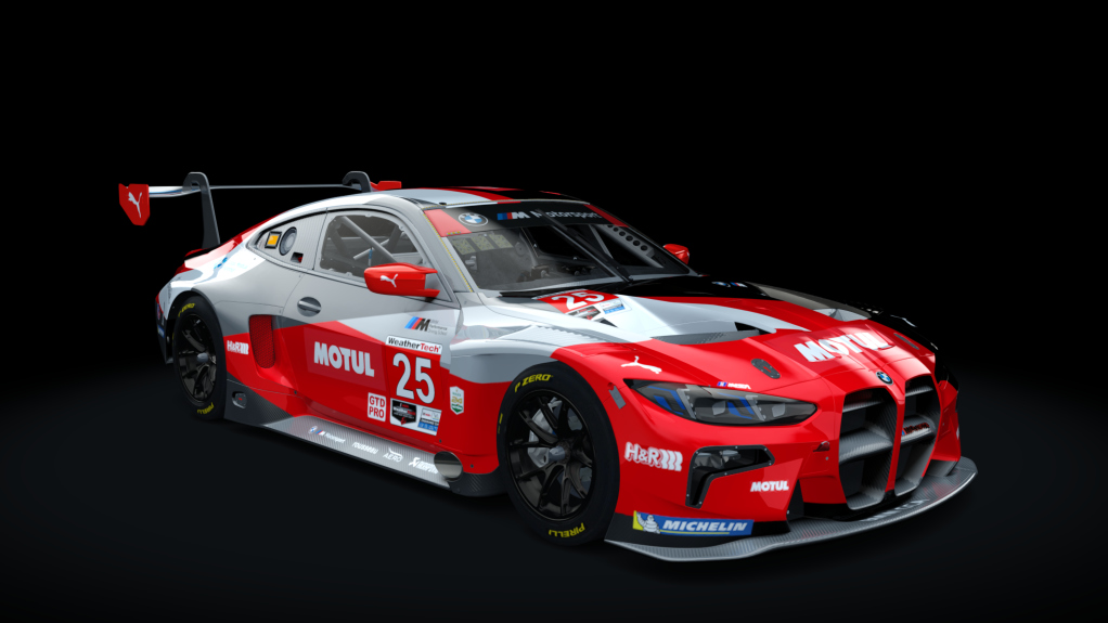 BMW M4 GT3 EVO, skin 25 RLL