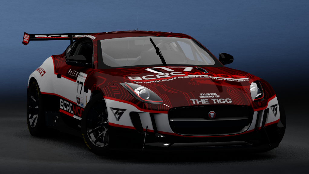 -BCRC M/E - Jaguar GT3, skin Johnny